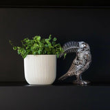 Matera Conic Round Groove Beige 14x13cm Cónica De Escritorio - Materas y Macetas | Bylmo