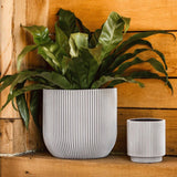 Matera Conic Round Groove Marfil 17x15cm Cónica De Escritorio - Materas y Macetas | Bylmo