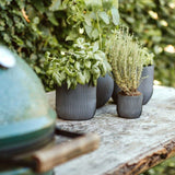 Matera Conic Round Groove Negro 17x15cm Cónica De Escritorio - Materas y Macetas | Bylmo