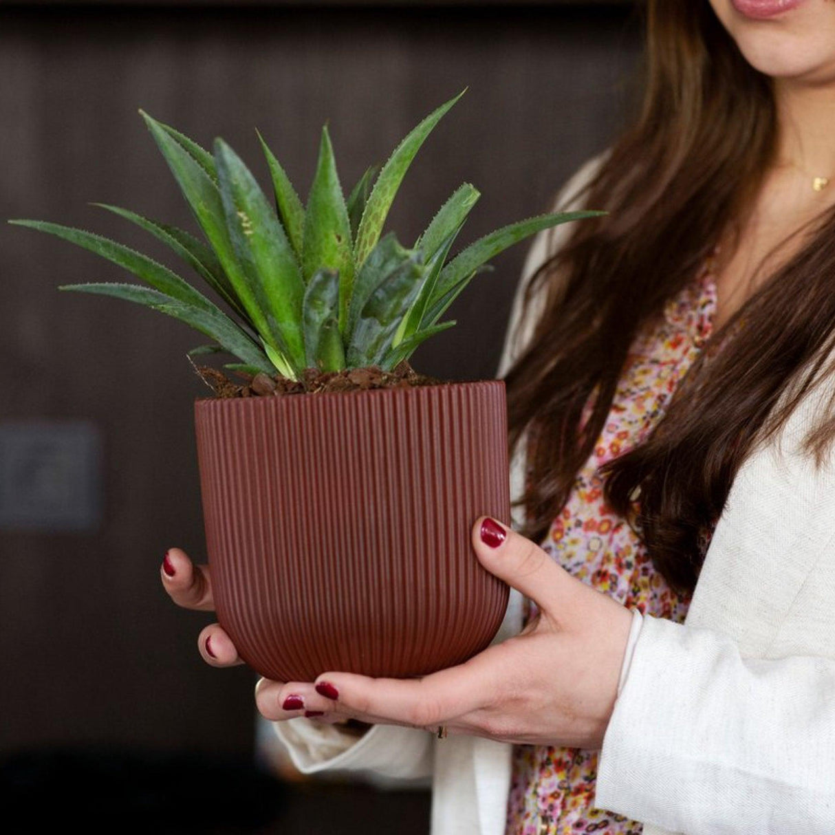 Matera Conic Round Groove Rojo 17x15cm Cónica De Escritorio - Materas y Macetas | Bylmo