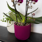 Matera Conic Round Groove Morado 17x15cm Cónica De Escritorio - Materas y Macetas | Bylmo