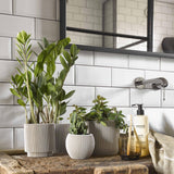 Matera Ball Groove Marfil 18x15cm Cónica De Escritorio - Materas y Macetas | Bylmo