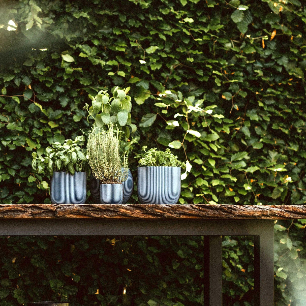 Matera Ball Groove Negro 18x15cm Cónica De Escritorio - Materas y Macetas | Bylmo