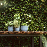 Matera Ball Groove Negro 18x15cm Cónica De Escritorio - Materas y Macetas | Bylmo