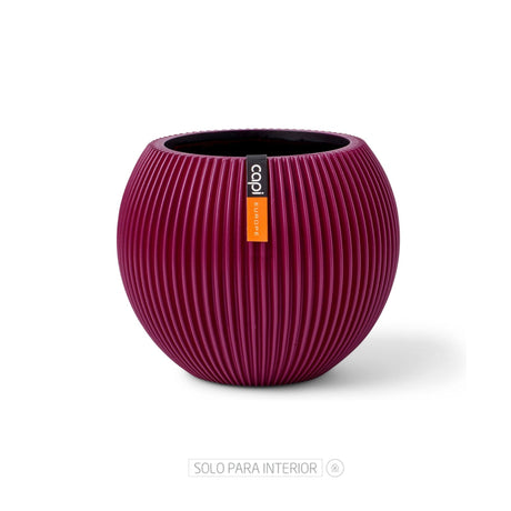 Matera Ball Groove Morado 18x15cm Cónica De Escritorio - Materas y Macetas | Bylmo