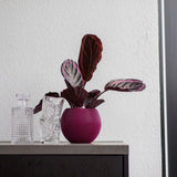 Matera Ball Groove Morado 18x15cm Cónica De Escritorio - Materas y Macetas | Bylmo