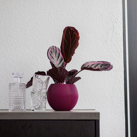 Matera Ball Groove Morado 18x15cm Cónica De Escritorio - Materas y Macetas | Bylmo