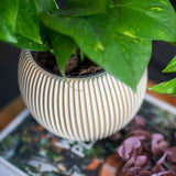 Matera Ball Groove Beige 18x15cm Cónica De Escritorio - Materas y Macetas | Bylmo