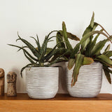 Matera Conic Round Rib Marfil 17x15cm Cónica De Escritorio - Materas y Macetas | Bylmo