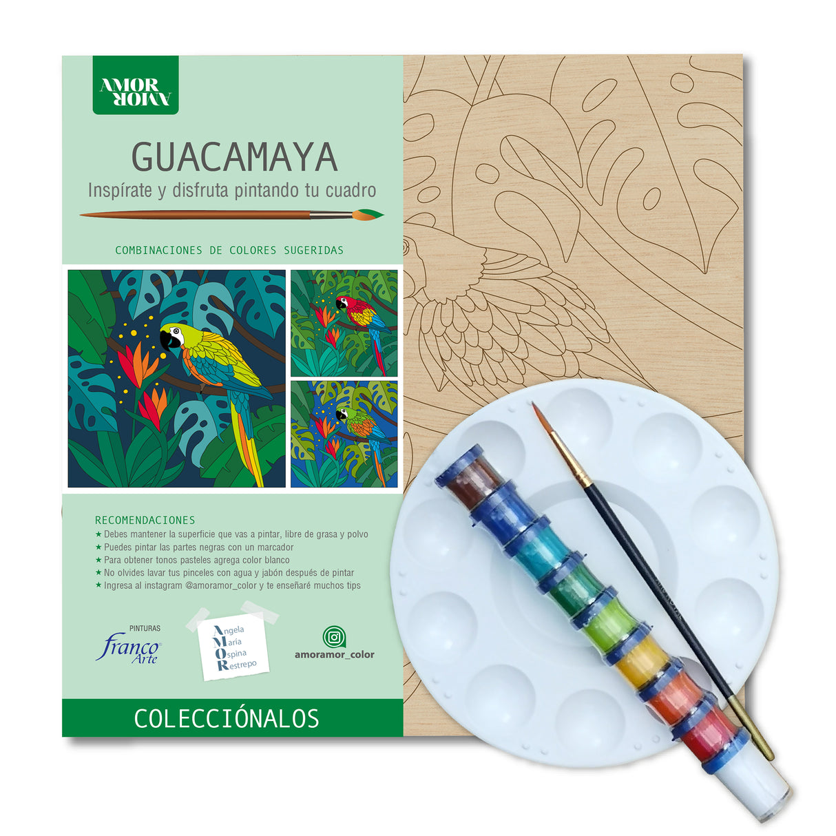 Kit Cuadro para Pintar Guacamaya en MDF 30x30cm con Acrílicos y Pincel - Cuadros | Bylmo