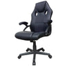 Silla Gamer Raptor 2024 Negro 64x119cm Con Espaldar Y Soporte Lumbar