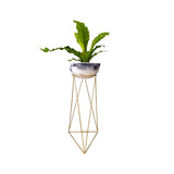 Combo Matera Bowl Grande Cónica Mármol negro y Dorado 29x14cm Tradicionales De Piso Con Base Metálica - MATERAS Y MACETAS | Bylmo