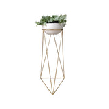 Combo Matera Bowl Mediana Cónica Blanco y Dorado 24x11cm Tradicionales De Piso Con Base Metálica - MATERAS Y MACETAS | Bylmo