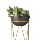 Combo Matera Bowl Mediana Cónica Negro y Dorado 24x11cm Tradicionales De Piso Con Base Metálica - MATERAS Y MACETAS | Bylmo