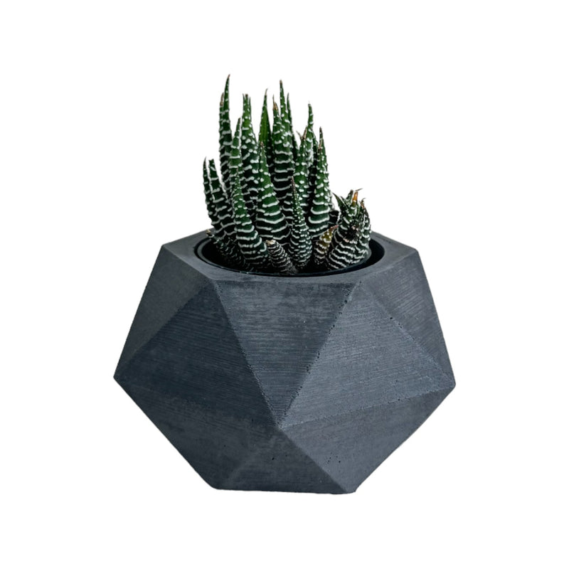 Matera De Mesa Pequeña Adara Petty Negro 11x6.5cm Hexagonal