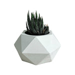 Matera De Mesa Pequeña Adara Petty Blanco 11x6.5cm Hexagonal