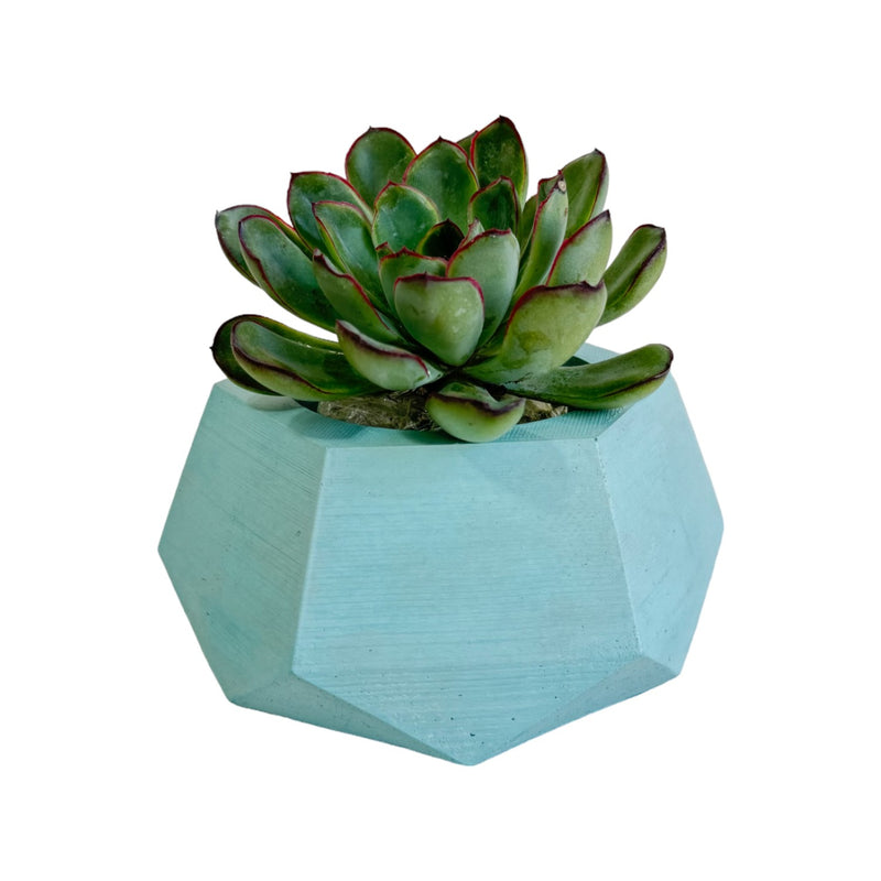 Matera De Mesa Pequeña Jade Aguamarina 14x6.5cm Hexagonal