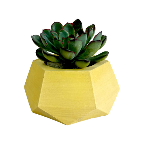 Matera De Mesa Pequeña Jade Amarillo 14x6.5cm Hexagonal