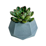 Matera de mesa Pequeña Jade Azul Petróleo 14x6.5cm Hexagonal - MATERAS Y MACETAS | Bylmo