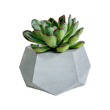 Matera de mesa Pequeña Jade Gris 14x6.5cm Hexagonal - MATERAS Y MACETAS | Bylmo