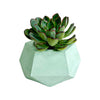 Matera De Mesa Pequeña Jade Menta 14x6.5cm Hexagonal