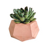 Matera De Mesa Pequeña Jade Palo De Rosa 14x6.5cm Hexagonal