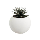 Matera de mesa Pequeña Luna Blanco 9x6.5cm Cónica - MATERAS Y MACETAS | Bylmo