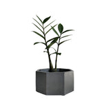 Matera de mesa Mediana Terrario Negro 18x8.5cm Hexagonal - MATERAS Y MACETAS | Bylmo