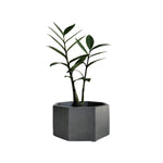 Matera De Mesa Mediana Terrario Negro 18x8.5cm Hexagonal