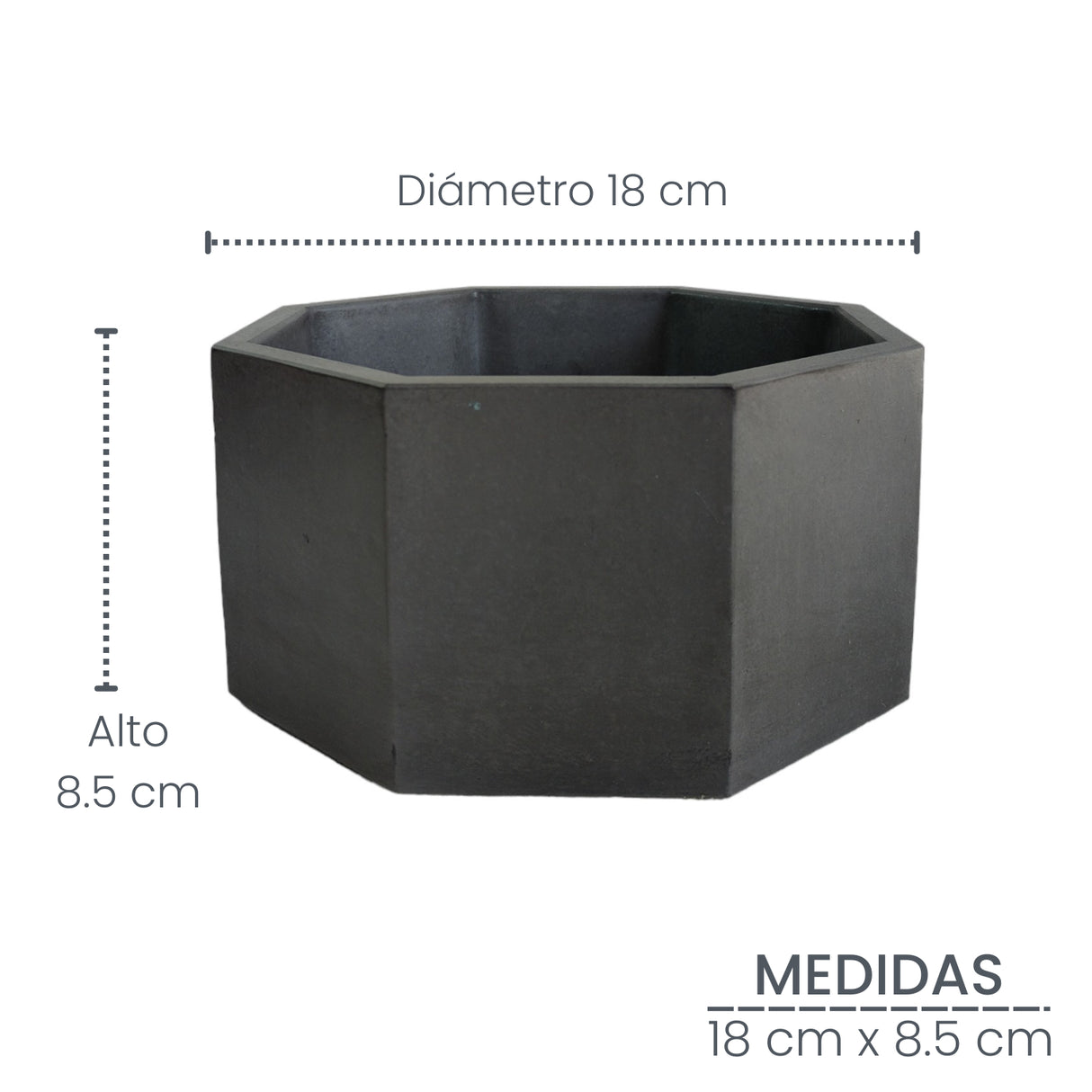 Matera de mesa Mediana Terrario Negro 18x8.5cm Hexagonal - MATERAS Y MACETAS | Bylmo