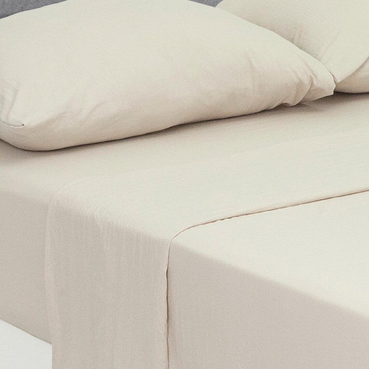 Juego de Sábanas Cotton Sense Fondo Entero Marron Claro Para Cama Sencilla 100 X 190 Cm - SABANAS | Bylmo