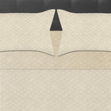 Juego de Sabanas Beige para Cama Queen 160 X 190 Cm Hipoelergénicas y Antiácaros - SABANAS | Bylmo