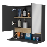 Gabinete de Baño Rectangular Laurent Plomo y Duna 60x62cm Con Espejo y Dos Entrepaños - GABINETES DE BANHO | Bylmo