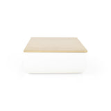 Mesa de Centro Lincoln Cenizo Blanco 63x27cm Ovalado - MESAS DE CENTRO | Bylmo