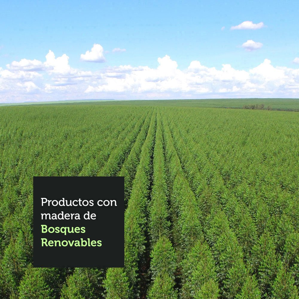 Kit x 6 Sillas Comedor Marron y Crema 40x98cm con Espaldar y de Asiento Cuadrado - SILLAS Y BUTACOS | Bylmo