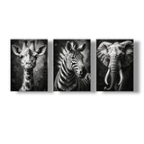 Set 3 Cuadros Decorativos Moderno Safari 35x73cm - CUADROS | Bylmo