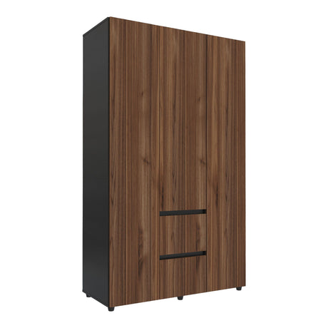 Closet Lemnos Gales y Wengue 120x200cm con Un Cajón y con Siete Compartimientos - CLOSETS | Bylmo