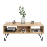 Mesa de Centro Vassel Duna 101x40cm Rectangular con Compartimiento y con Patas - MESAS DE CENTRO | Bylmo