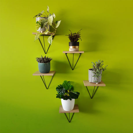 Set de 2 Repisas Cherry Negro y Madera Natural 20x21cm Triangular con Dos Entrepaños - REPISAS | Bylmo