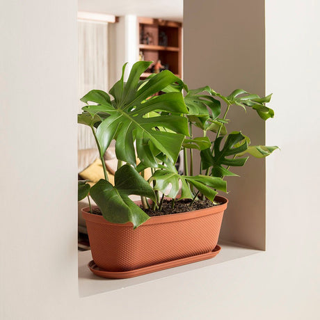 Matera de Mesa Rimax Rafia Terracota 60.2x19.6cm Ovalado con Orificio de Drenaje - MATERAS DE MESA | Bylmo