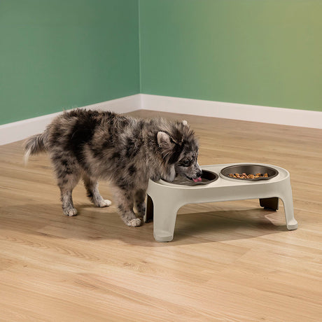 Comedero Alto para Perros Rimax Taupe 44.5x16.5cm Para Perros Pequeños - COMEDEROS Y BEBEDEROS PARA MASCOTAS | Bylmo