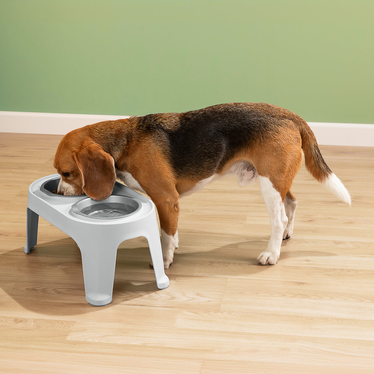 Comedero Alto para Perros Rimax Gris Hielo 44.5x21.7cm Para Perros Medianos - COMEDEROS Y BEBEDEROS PARA MASCOTAS | Bylmo