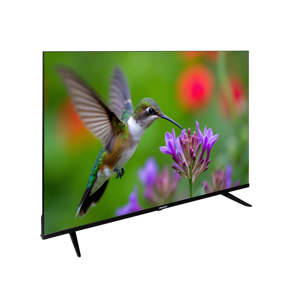 Televisor Challenger Google TV Negro 128.5x80.5cm de 58" Pulgadas Qled 4K 2160P Smart con Bluetooth y Wifi Integrado