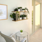 Repisa Rectangular Oasis Fresno Balance y Pino Natural 60x30cm con Dos Entrepaños - REPISAS | Bylmo