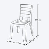 Set x 13 Sillas Barú Wengue 46.9x81.6cm de Asiento Rectangular con Espaldar y sin Apoya Brazos