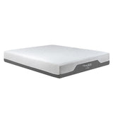 Colchón Medio Firme Flexy Blanco Sencillo 100 X 190 Cm Ortopedico de Espuma