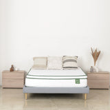 Colchón Atletico Nacional Basic Blanco y Verde Sencillo 100 X 190 Cm Hipoalergénico con Pillow Sencillo y Firmeza Adaptable