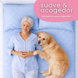 Combo Protector de Colchón y de Almohada Semiantifluido Azul Celeste para Colchón Doble 140 X 190 Cm Semi-Antifluido