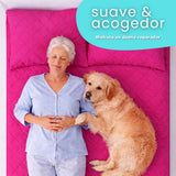 Combo Protector de Colchón y de Almohada Semiantifluido Fucsia para Colchón Queen 160 X 190 Cm Semi-Antifluido