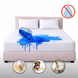Combo Protector de Colchón y de Almohada Terry Blanco para Colchón Queen 160 X 190 Cm Impermeable